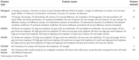 Frontiers | The detection of prostate cancer based on ultrasound RF signal