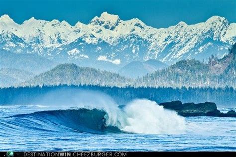 Surfing Tofino | Surfing pictures, Surfing, Surfing photos