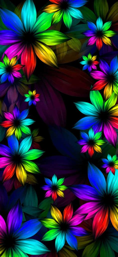 Download A Colorful Flower Wallpaper On A Black Background Wallpaper ...