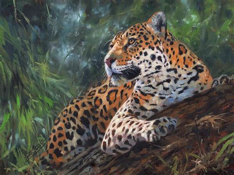 Jaguar In Tree Painting by David Stribbling | Pixels