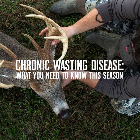 Chronic Wasting Disease: What You Need to Know This Season | onX