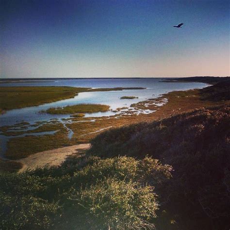 Aransas National Wildlife Refuge | National wildlife refuge, Instagram, Landscape photography