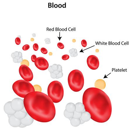 Platelets in Health and Disease – The Platelet Society