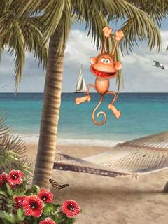 Happy Monkey GIF - Download & Share on PHONEKY