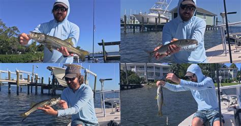 Fun Snook & Cuda Action With New Lure [Manatee River Fishing Report ...