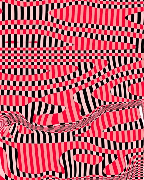 Funky Zebra Stripes Free Stock Photo - Public Domain Pictures