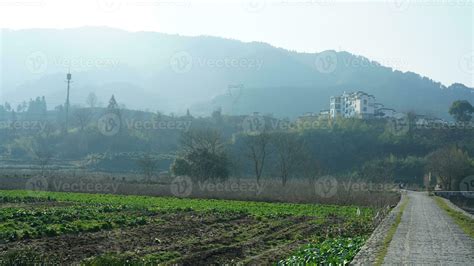 The beautiful traditional Chinese village view with the classical architecture and fresh green ...