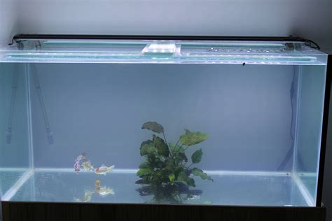 Custom Aquarium 3d printed aquarium decorations Design and Decoration Ideas