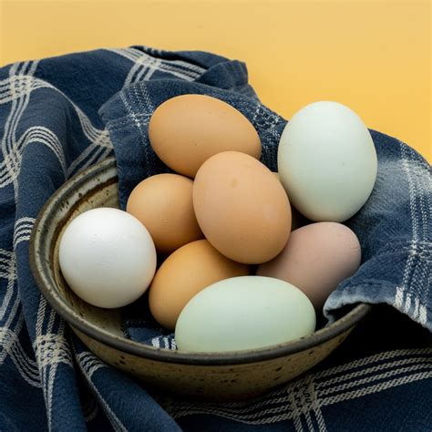 Poultry - Eggs | Blackberry Meadows Farm | Pasture-Raised Pork and Organic Produce