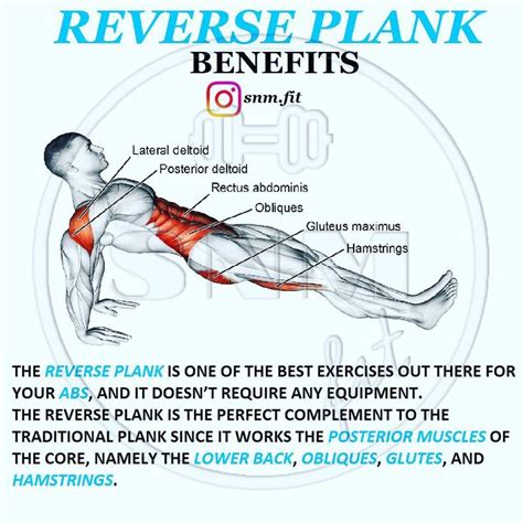 💪REVERSE PLANK BENEFITS⚡️ - Follow @snm.fit for more fitness/nutrition info - 📄The reverse plank ...