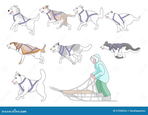 Musher and Dogs Mix N Match Stock Vector - Illustration of malamute ...