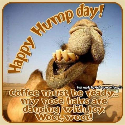 Guess what day it is?? You got it, Happy Hump Day everyone! Time to get the coffee going and get ...