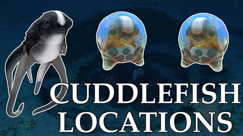 Where To Find ALL 5 CUDDLEFISH EGGS in Subnautica | Cuddlefish Eggs Locations! | Subnautica ...