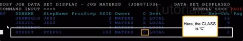 JCL SYSIN and SYSOUT Parameter — TutorialBrain