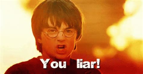 You Liar! GIF - Liar Mad Lie - Discover & Share GIFs