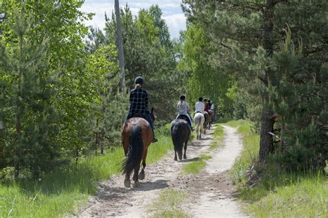 10 Best Places For Horseback Riding In Maryland - Southern Trippers