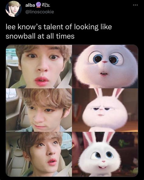 Lee Know Stray Kids, Stray Kids Seungmin, Funny Tweets, Funny Memes, Dancing King, Savage Kids ...