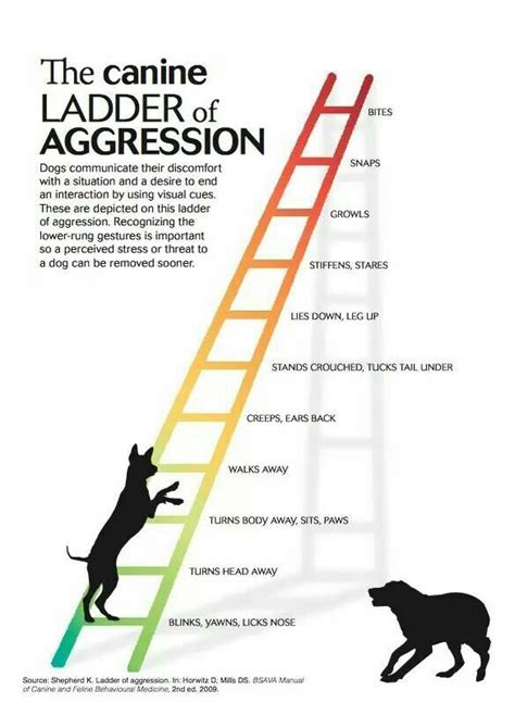 Dog's ladder of aggression. Memorize it! | SuchIsAnRVT'sLife | Pinterest | Note, Shelters and Pets