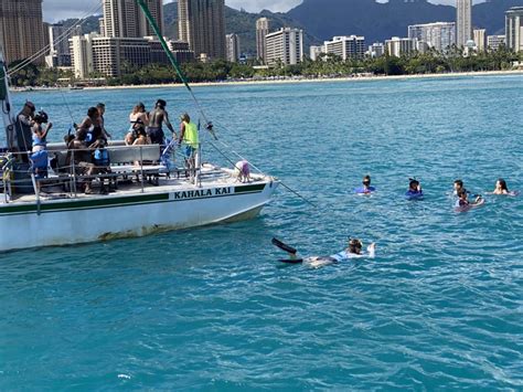 Turtle Canyon Snorkeling In Waikiki - Oahu Catamaran