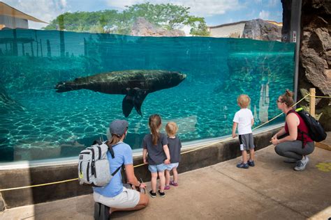 Columbus Zoo and Aquarium | Events, Exhibits & Live Shows