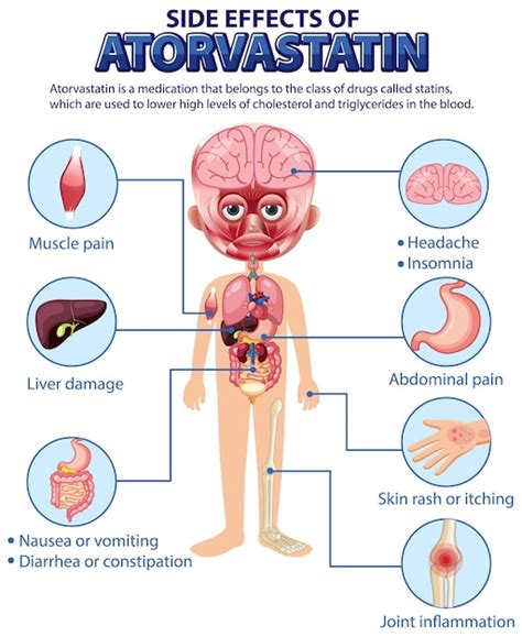 Premium Vector | Human anatomy diagram cartoon style of Atorvastatin side effects