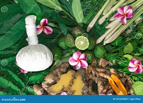 Alternative Indian Medicine Ayurveda Herbal Medicine Stock Image - Image of healthy, chinese ...