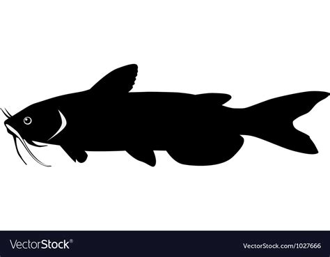 Silhouette catfish Royalty Free Vector Image - VectorStock