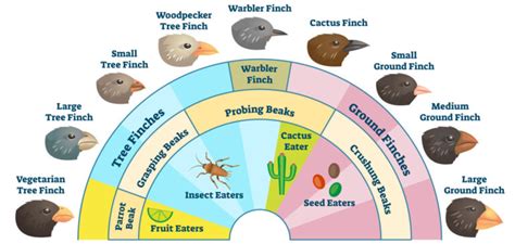 Bioecology: The Science of Connection - Long Acres Ranch