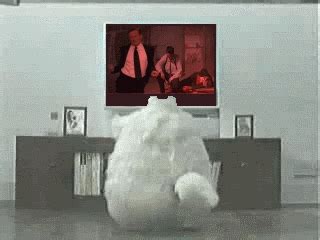 Fat Cat Dancing gif by Silverfire2 | Photobucket