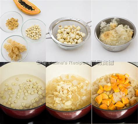 Snow Fungus, Papaya and Lotus Seeds Dessert Soup | Christine's Recipes: Easy Chinese Recipes ...