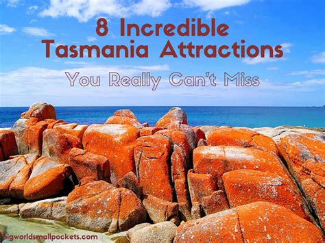 8 Incredible Tasmania Attractions You Can't Miss - Big World Small Pockets