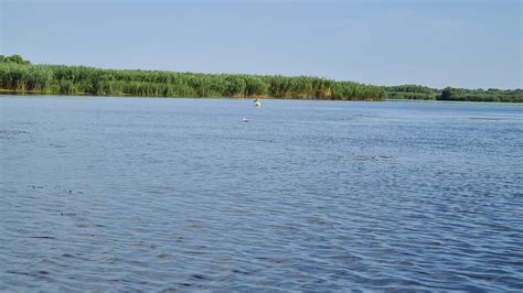 Visit Danube Delta, Romania – Emily's World