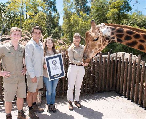 Australia Zoo's Forest the Giraffe Named World's Tallest Giraffe