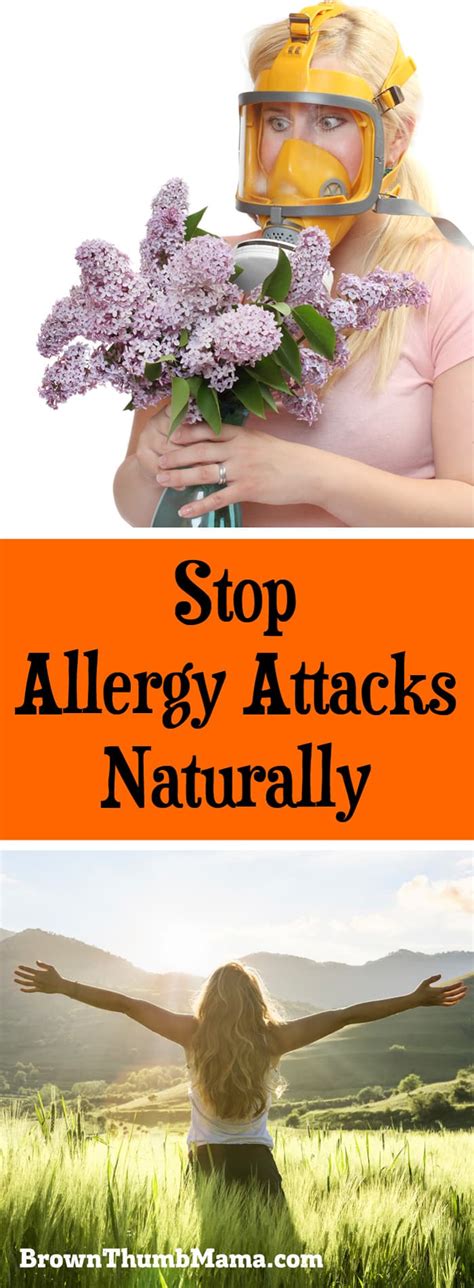 Stop an Allergy Attack Naturally • Brown Thumb Mama