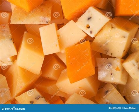 Cheese cubes stock photo. Image of gouda, show, indoors - 48816242