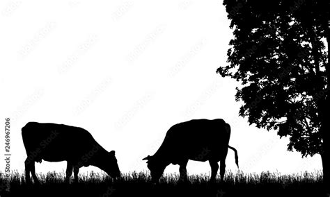 Realistic illustration with two silhouette of cow on pasture, grass and tree, isolated on white ...