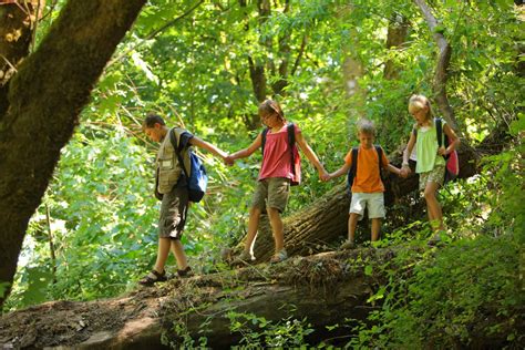 Group of kids in forest walking over log | Pilot Cove