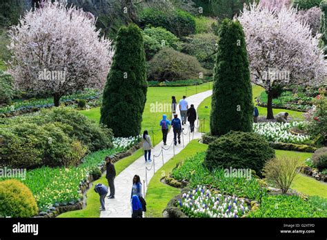 Butchart Gardens in spring, the Sunken Garden Stock Photo - Alamy