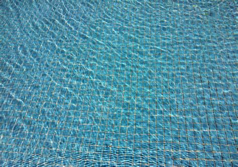Swimming Pool Water Wave Texture Free Stock Photo - Public Domain Pictures