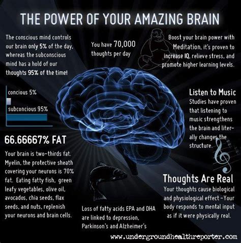 The Brain And Music Quotes. QuotesGram