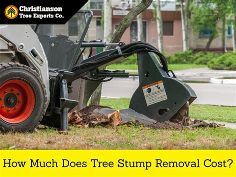 Tree Stump Removal Cost | Christianson Tree Experts