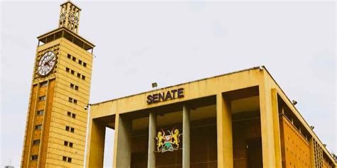 Qualifications For Senators In Kenya