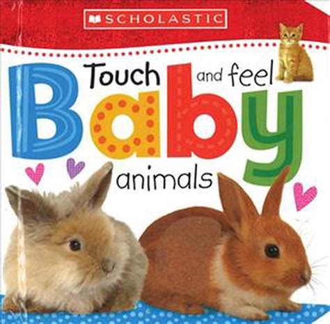 Touch and Feel Baby Animals by Scholastic, Board Books, 9780545915151 | Buy online at The Nile