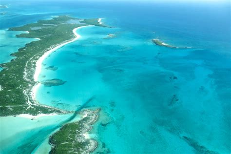 Flights to Big Major Cay - Pig Island - Bahamas Swimming Pigs in Exuma