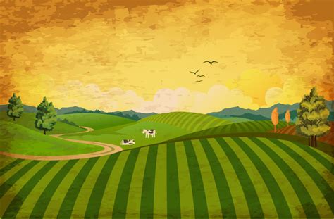 Corn Field Vector at GetDrawings | Free download