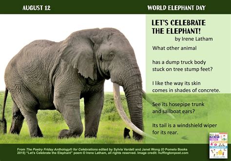 Poetry for Children: Irene Latham + Awards + Elephants