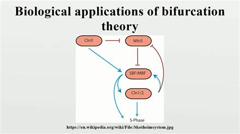 Biological applications of bifurcation theory - YouTube