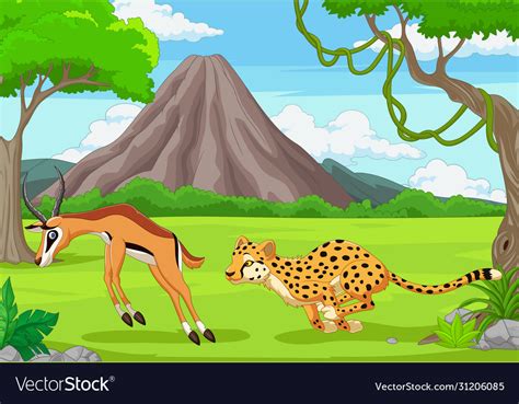 Cheetah is chasing an impala in an african Vector Image