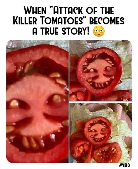 The best Tomato memes :) Memedroid