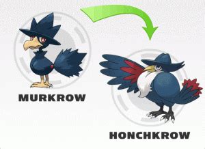 Pokemon Evolução: Evolução Murkrow